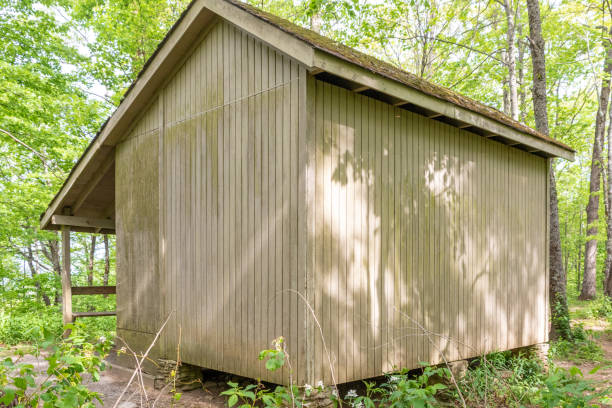 istock Appalachian Trail Shelter in Georgia Forest 1321036569