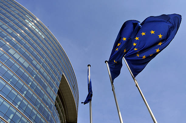 European Union flags fluttering in breeze European Union flags waving next to the Council of the European Union Building (Lex building) in Brussels, tilted upwards european union symbol stock pictures, royalty-free photos & images