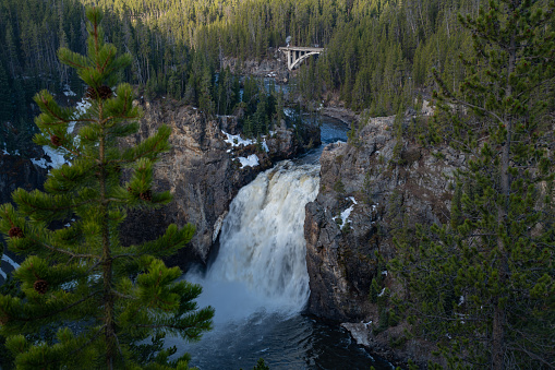 Upper falls in Yellowstone National Park springtime. Large waterfall in Yellowstone near village of Canyon. Closest towns are Cody and West Yellowstone, Montana in western USA. John Morrison - Photographer