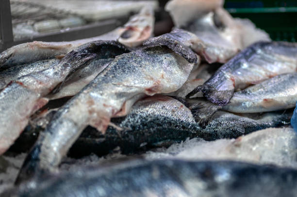 istock Frozen trout and salmon carcasses 1321049420