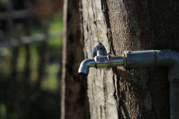 The water faucet has just been installed near the tree and this faucet is quite loud when turned on and can be used for washing hands