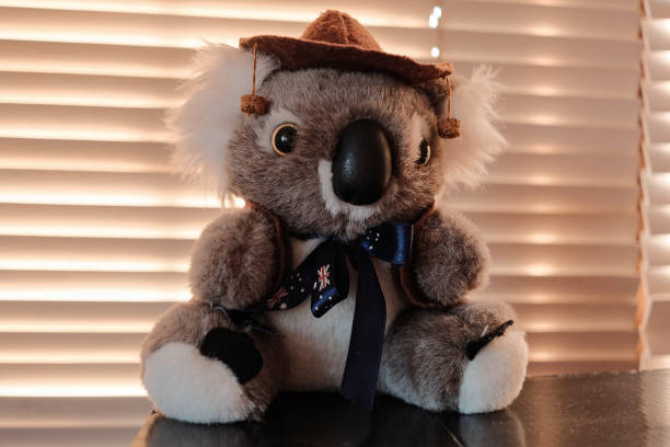 una bambola orso koala australiano - koala stuffed animal australia souvenir foto e immagini stock