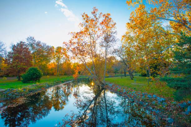 istock Fall Colors-Trees Reflecting in Kokomo Creek-Howard County Indiana 1321050703