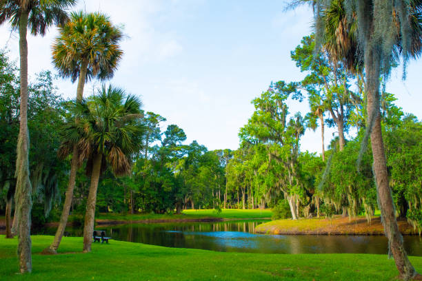 A partially shaded walking trail through a wooded area, featuring overhanging trees and vibrant greenery. The peaceful setting captures the tranquility and beauty of nature in its serene form.