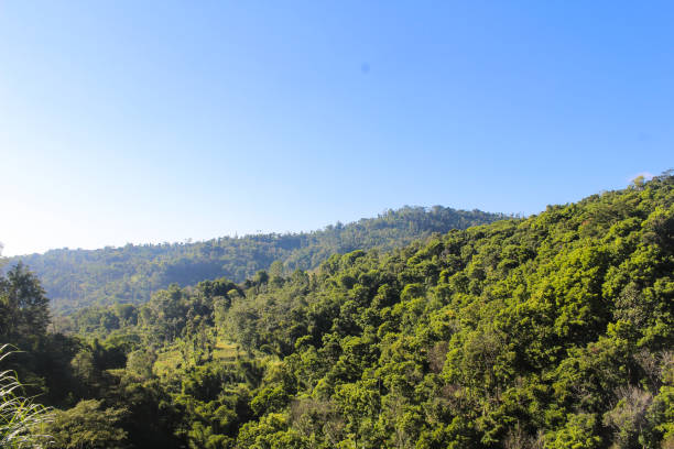 istock see empty land in the mountains next door 1321051594