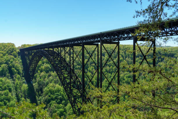 istock Span of the New River Gorge Bridge with pine tree foreground 1321053997