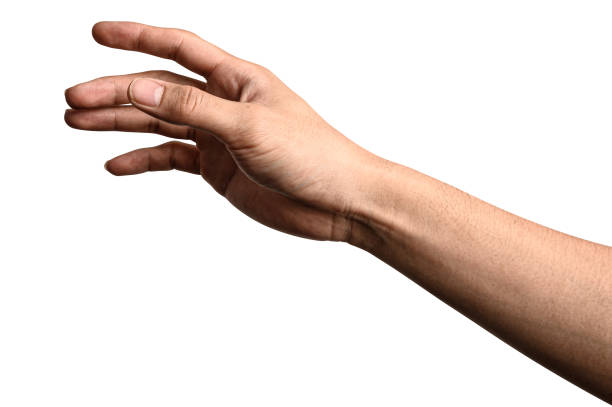istock Hand open and ready to help or receive. Gesture isolated on white background with clipping path. 1321057264