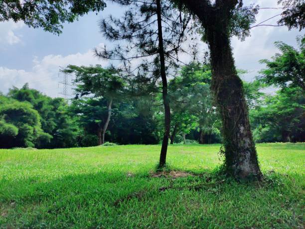 istock Green park at town 1321057478