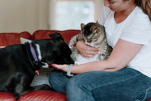 Latin woman interacting with her dog and cat at home