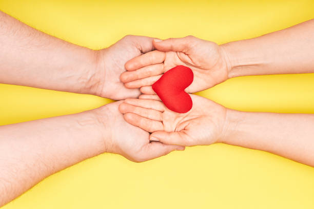 Hands of man and woman holding a red heart on a yellow background. Health and care concept Hands of man and woman holding a red heart on a yellow background. Health and care concept heart internal organ photos stock pictures, royalty-free photos & images