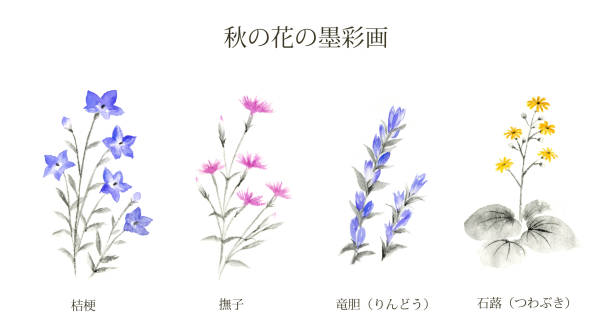 Watercolor illustration of Japanese autumn flowers. Watercolor illustration of Japanese autumn flowers. blue gentian stock illustrations