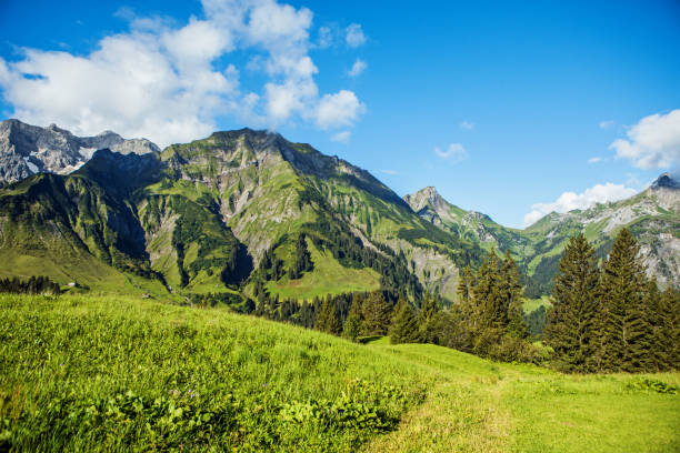 istock Beautiful Austrian countryside landscape view 1321067784