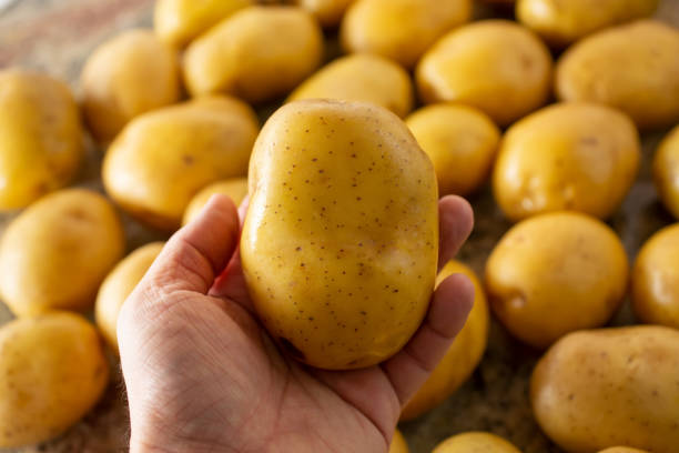 istock hand holds gold potato 1321068891