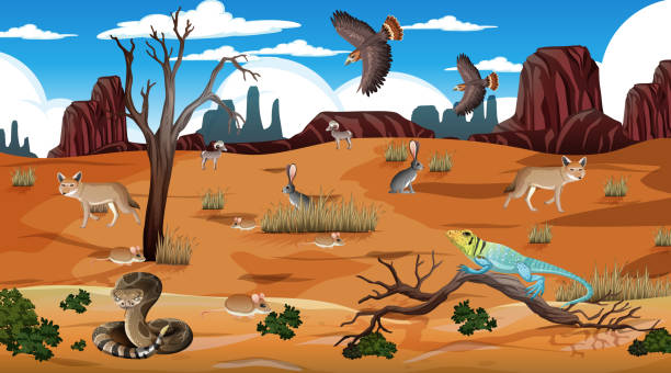 ilustrações de stock, clip art, desenhos animados e ícones de desert forest landscape at daytime scene with willd animals - desert animals