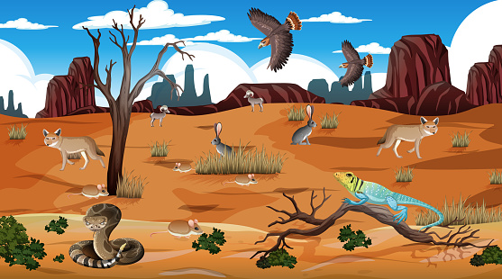 Desert forest landscape at daytime scene with willd animals illustration