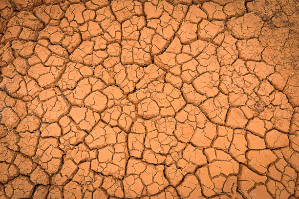 istock Cracked ground dry earth dry land texture 1321071385