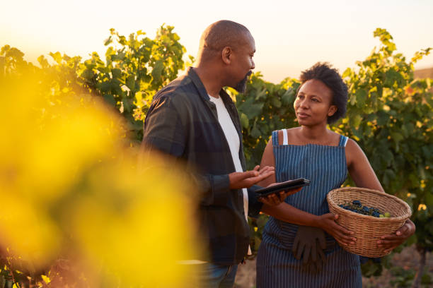 Shot of a couple standing together on their vineyard and having a discussion while using a digital tablet