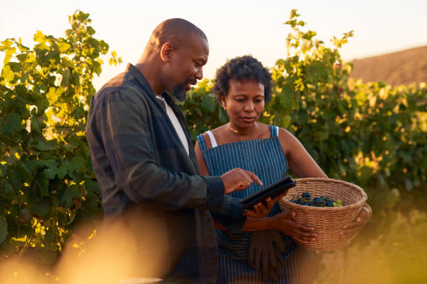 istock Shot of a couple standing together on their vineyard and having a discussion while using a digital tablet 1321072222