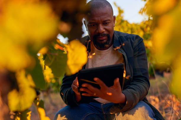 istock Shot of a handsome mature farmer crouched down by a grapevine and using a digital tablet 1321072228
