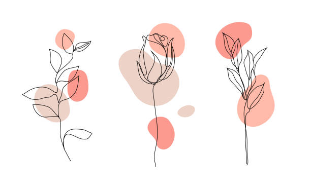 illustrazioni stock, clip art, cartoni animati e icone di tendenza di set vettoriale di fiori a linea continua disegnati a mano - tulipani , foglie di schizzo. elementi floreali d'arte. uso per stampe di t-shirt, cosmetici - fiore immagine