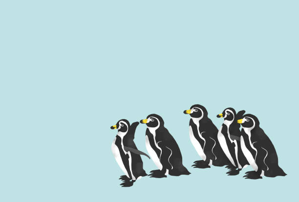 444 Cartoon Penguin Wallpaper Pictures Illustrations & Clip Art - iStock