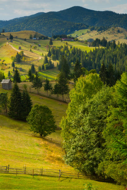 istock Image of Karpaty mountains 1321073652