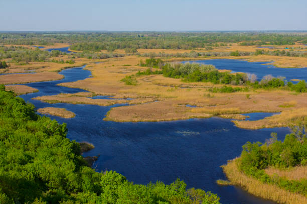 istock delta of vorskla river 1321074699