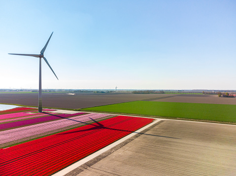 Wind turbines in Flevoland, The Netherlands, during springtime seen from above. Flevoland is a modern polder in the former Zuiderzee designed initially to create more land for farming.