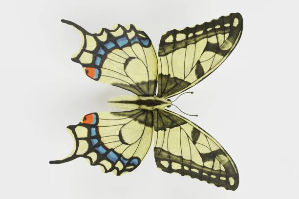 istock Realistic 3D Render of Old World Swallowtail Butterfly 1321081235