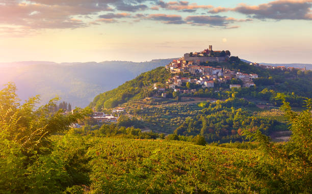 antike stadt motovun kroatien istrien. malerisches panorama - istrien stock-fotos und bilder