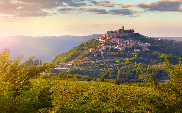 Antique city Motovun Croatia Istria. Picturesque panorama Antique city Motovun Croatia Istria. Picturesque panorama age-old village at hill with pink cloud and sunny light and authentic home with red tegular roof and green vineyard garden. istria photos stock pictures, royalty-free photos & images