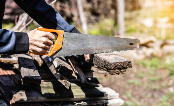 istock man sawing planks in the garden 1321081781