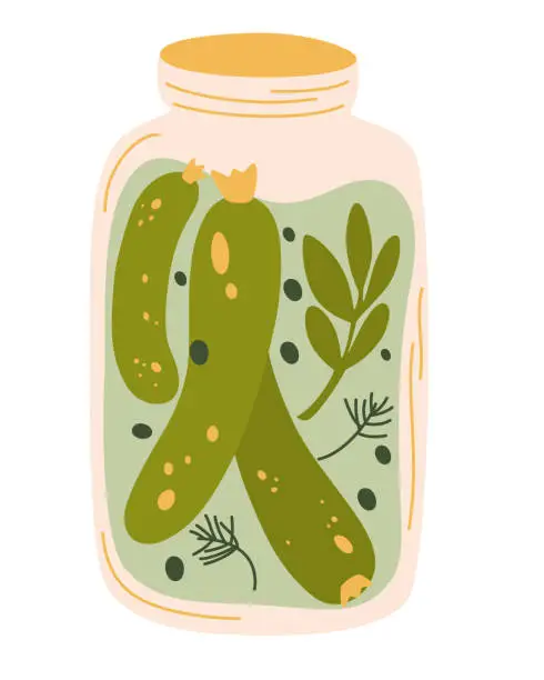 Vector illustration of Pickles in jar, isolated jar of pickled cucumbers. Fermented veggies. Marinated vegetables in can, homemade production full of probiotics. Crunch gherkin with salt. Organic product. Vector