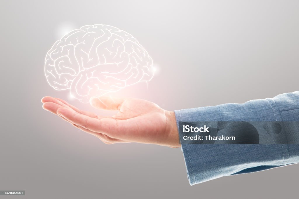Female doctor holding brain illustration against the gray background. Mental health protection and care Mental Health Stock Photo