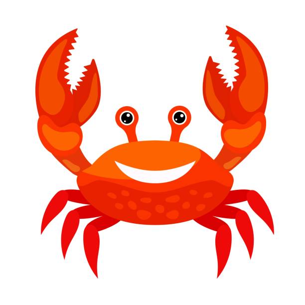 Animated Lobster Illustrations, Royalty-Free Vector Graphics & Clip Art -  iStock