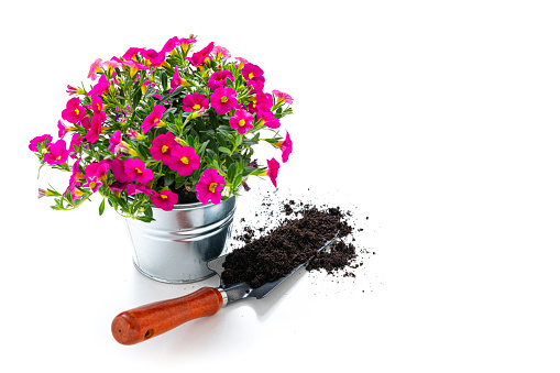 Clay Flower Pot Filled with Soil on Rustic Wooden Table