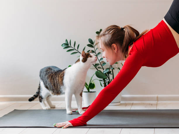 girl in red sportswear with cute funny cat practicing yoga at home. indoor and outdoor workout. sport and healthy active lifestyle concept - yoga business women indoors imagens e fotografias de stock