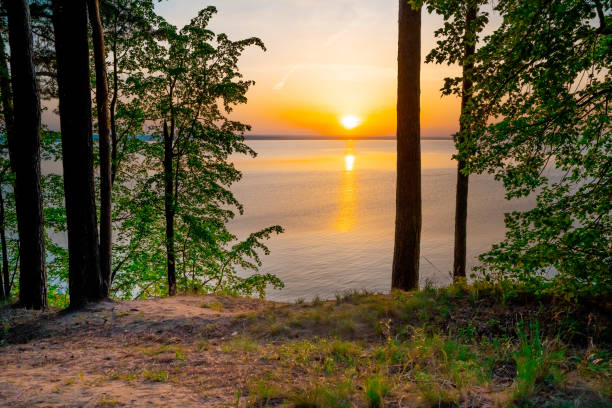 istock Sunset on the sea framed by trees, beautiful landscape 1321094984