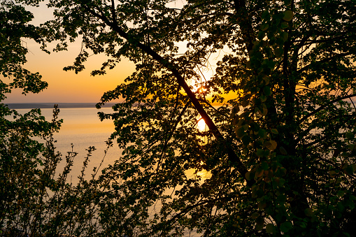 Sunset on the sea framed by trees, beautiful landscape
