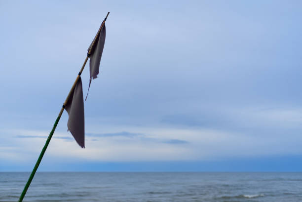 istock old grey flag against calm blue sea 1321116160