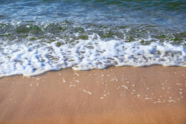 istock Blue sea with waves and sandy coast in summer on a sunny day 1321117441