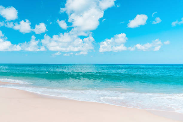 istock Beautiful tropical beach with blue sky and white clouds abstract texture background. 1321130037