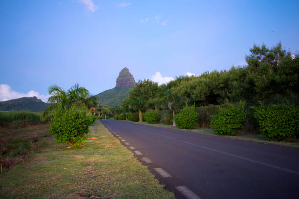istock Aerial view of wild Mauritius mountains 1321131481