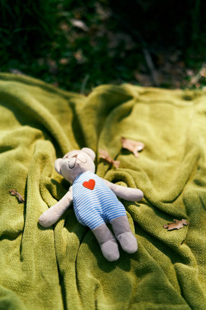 istock Teddy bear lies on a green bedspread on the lawn. Top view 1321133996