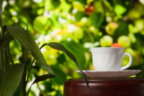 White cup of coffee or tea on a wooden table over blurred apple tree with sun lighting.