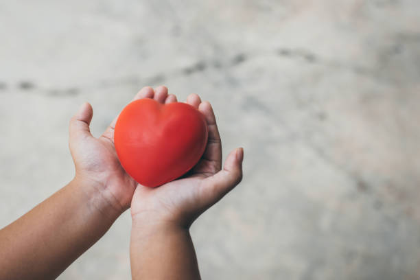 istock kid holding red heart in hands 1321144372