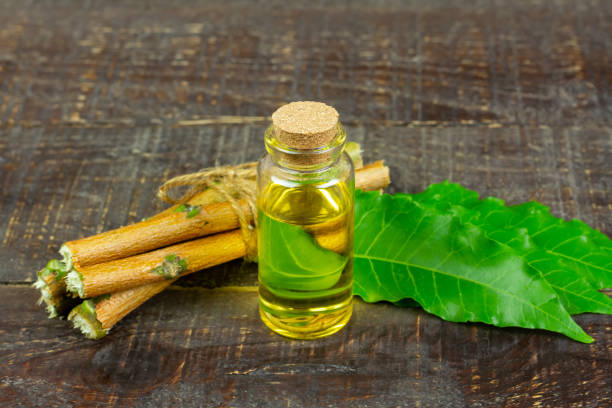 neem öl in derflasche und neemblatt mit zweig auf holzhintergrund. - azadirachta indica stock-fotos und bilder