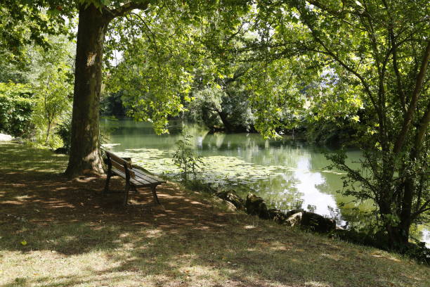 istock Dijon - France 1321144650