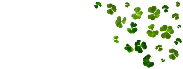 istock St.Patrick 's Day. green clover leaves 1321145505