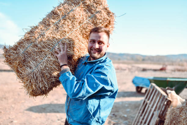 Modern Male Farmer Transporting Haybale Inside Barn